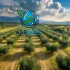 agrogel-field1 AGROGEL - Αποθήκη νερού 100 gr