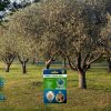 agrogel-field14 AGROGEL - Αποθήκη νερού 100 gr